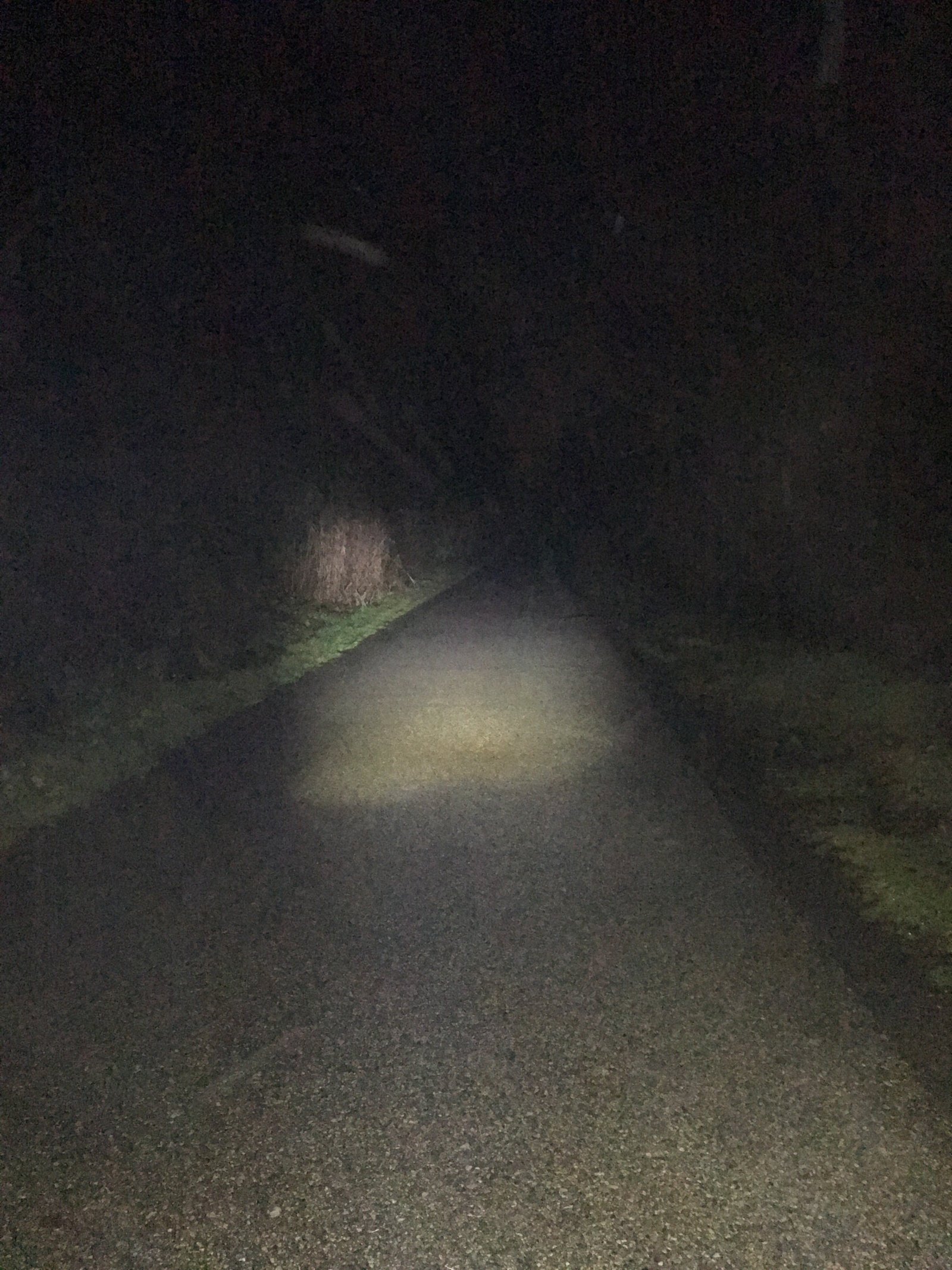 Ride 4, 29th Dec. Its all getting a bit Blair Witch on the Schuylkill Trail.