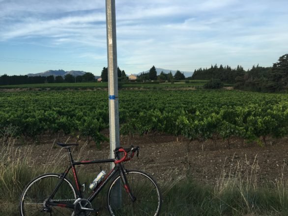 Our digs in Provence, just the other side of the vines. Mont Ventoux in the background.